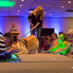 An excited dog walks down the runway led by her handler